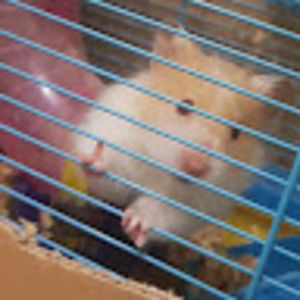 Meet your Posher, -jenny